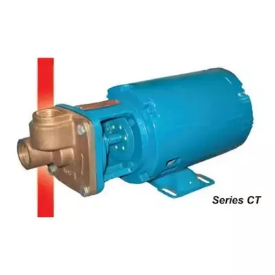 09AS00001 (Burks) | Pump CT6M 1/2HP 1PH 3450RPM