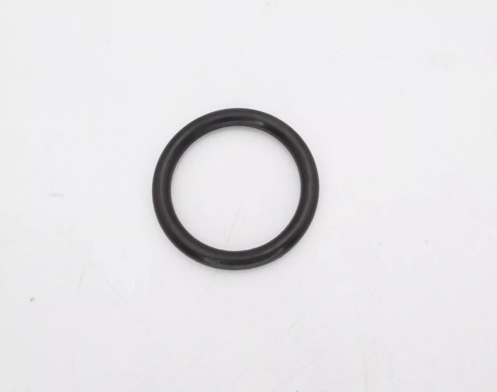 Pentair Filter Drain Cap O-Ring 51005000Z